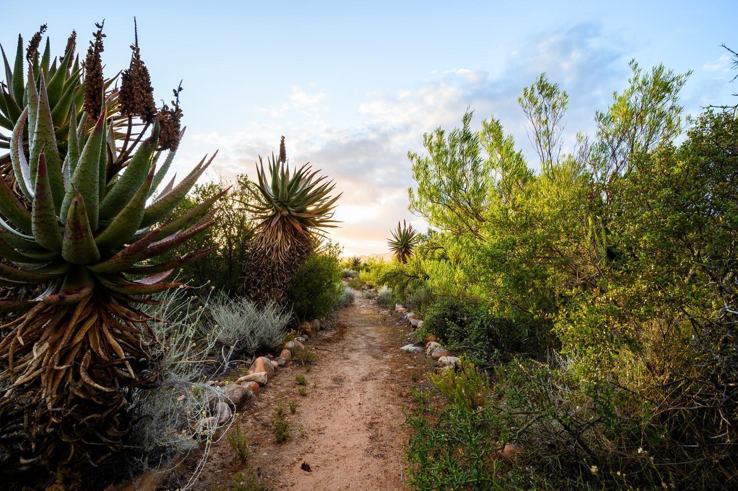 Le Petit Karoo Ranch Oudtshoorn Exterior foto
