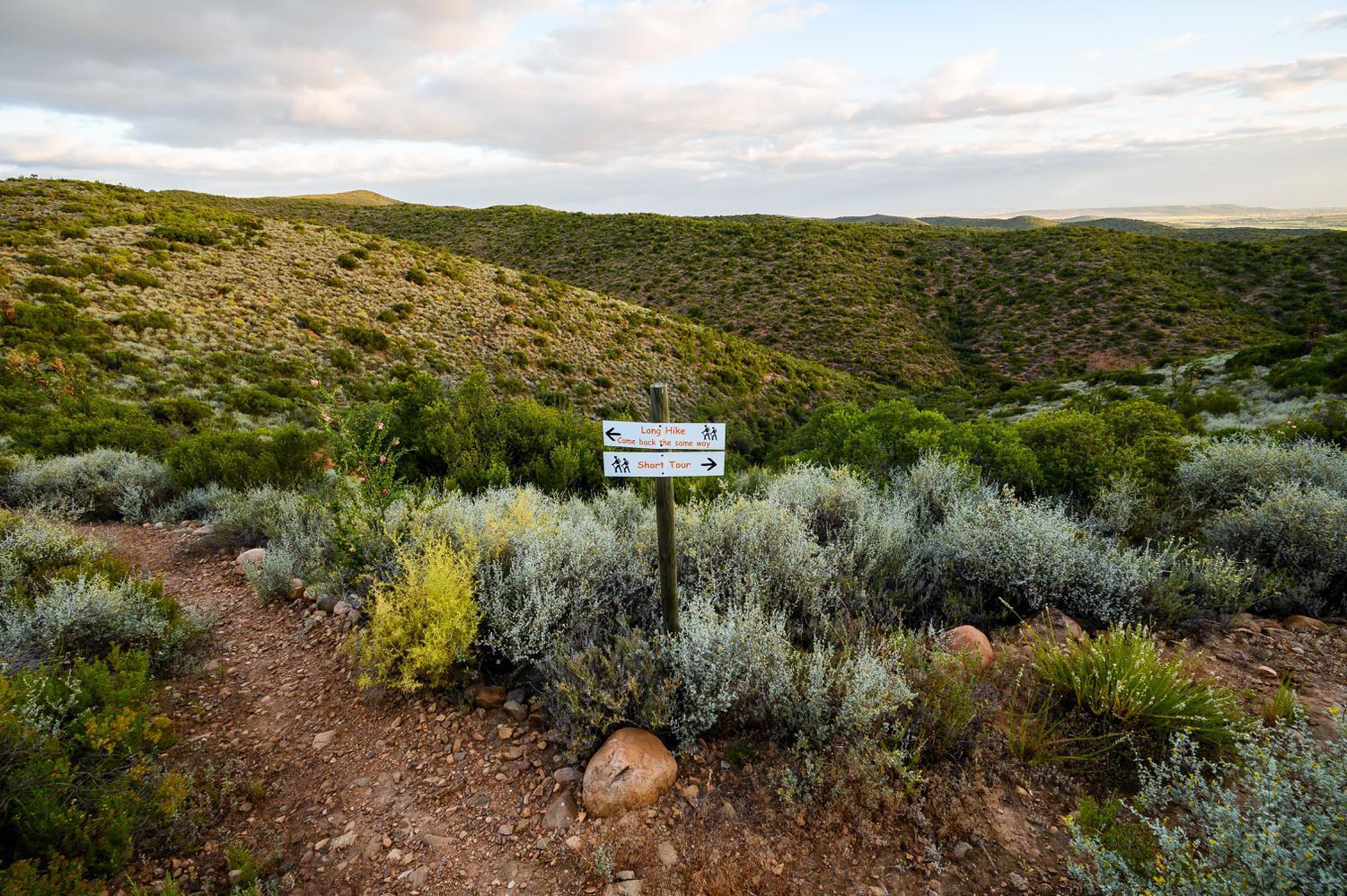 Le Petit Karoo Ranch Oudtshoorn Exterior foto