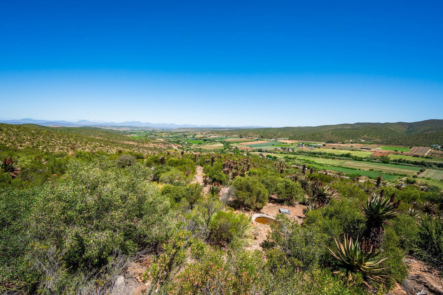 Le Petit Karoo Ranch Oudtshoorn Exterior foto