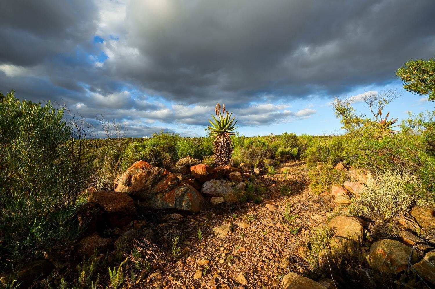 Le Petit Karoo Ranch Oudtshoorn Exterior foto