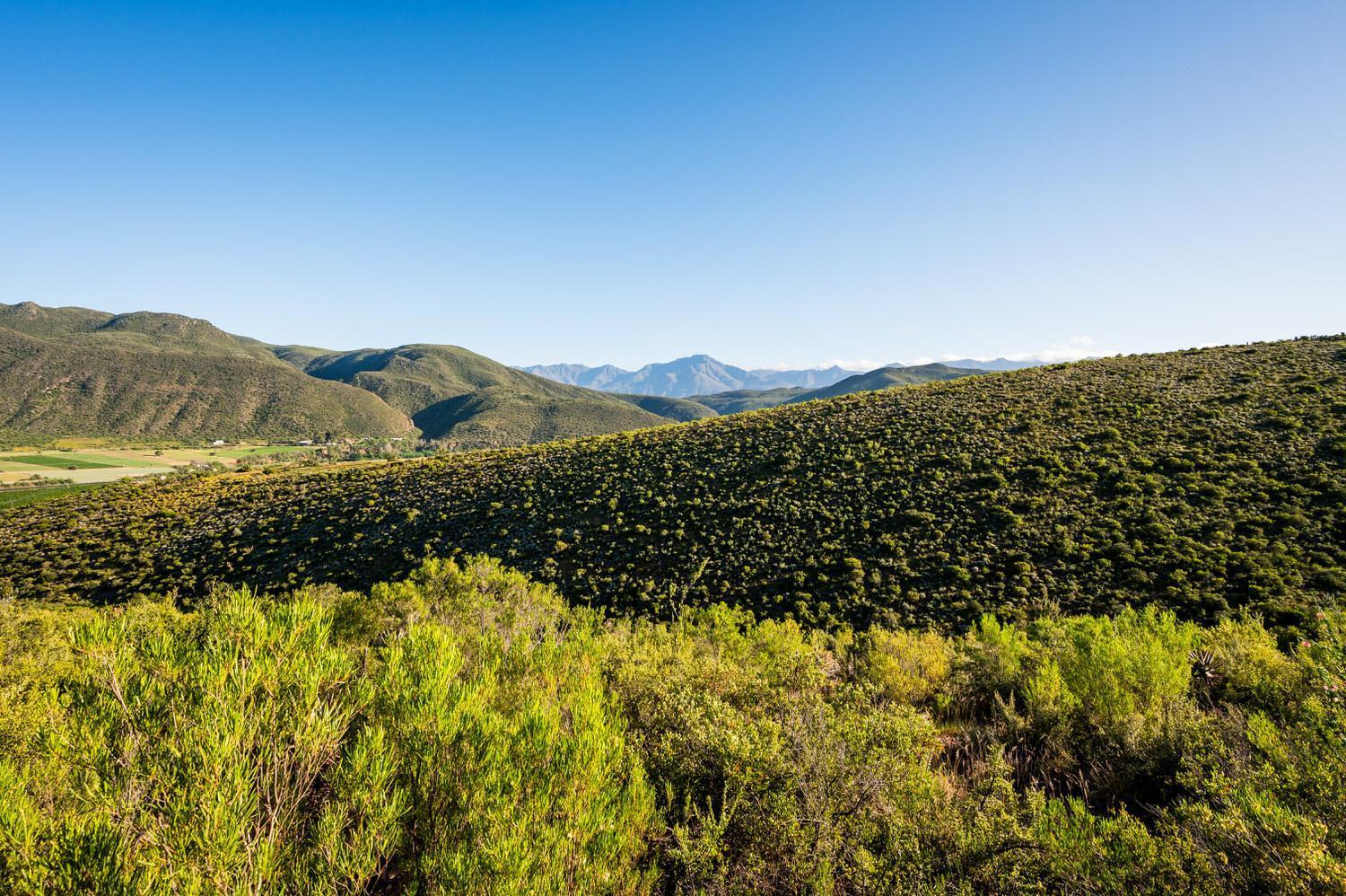 Le Petit Karoo Ranch Oudtshoorn Exterior foto