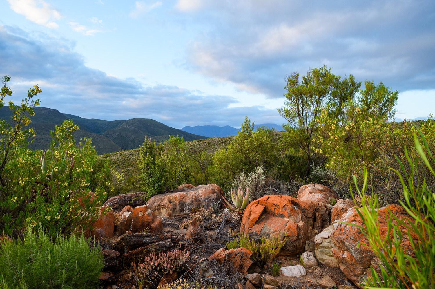 Le Petit Karoo Ranch Oudtshoorn Exterior foto