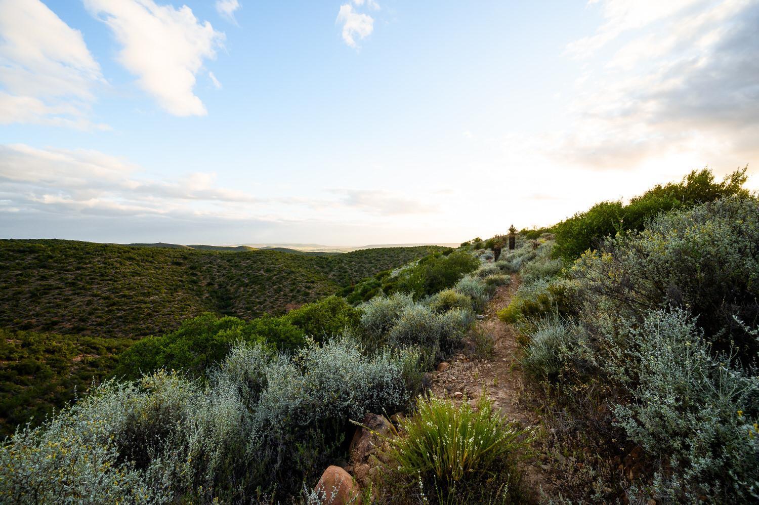 Le Petit Karoo Ranch Oudtshoorn Exterior foto