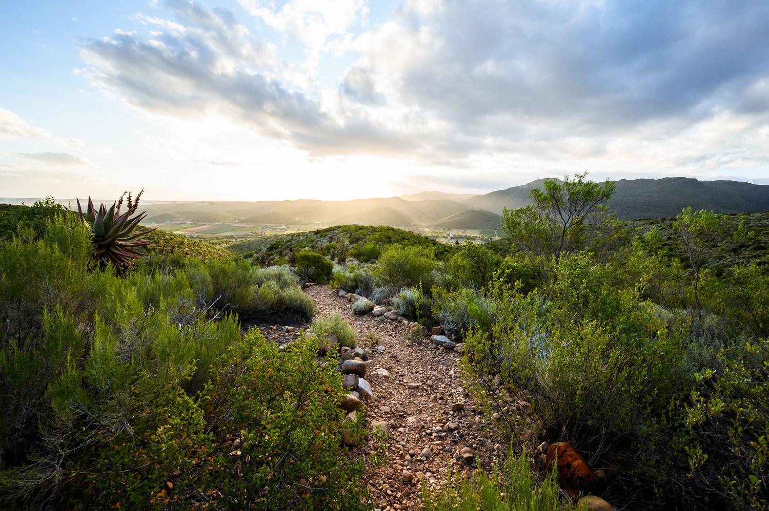 Le Petit Karoo Ranch Oudtshoorn Exterior foto