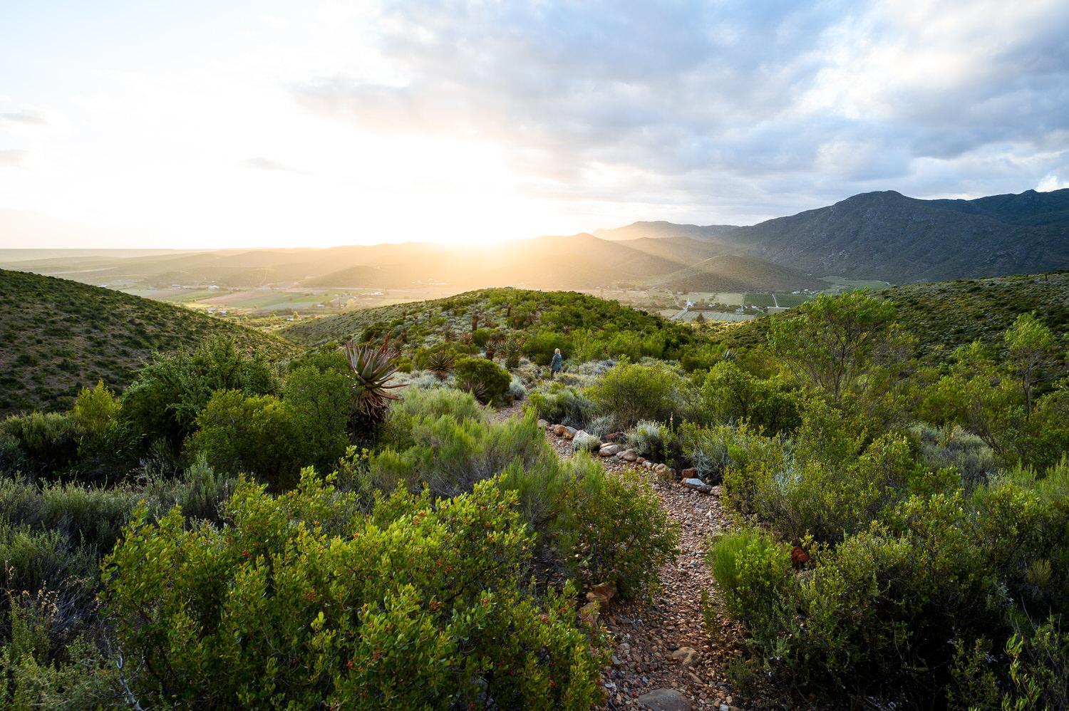 Le Petit Karoo Ranch Oudtshoorn Exterior foto