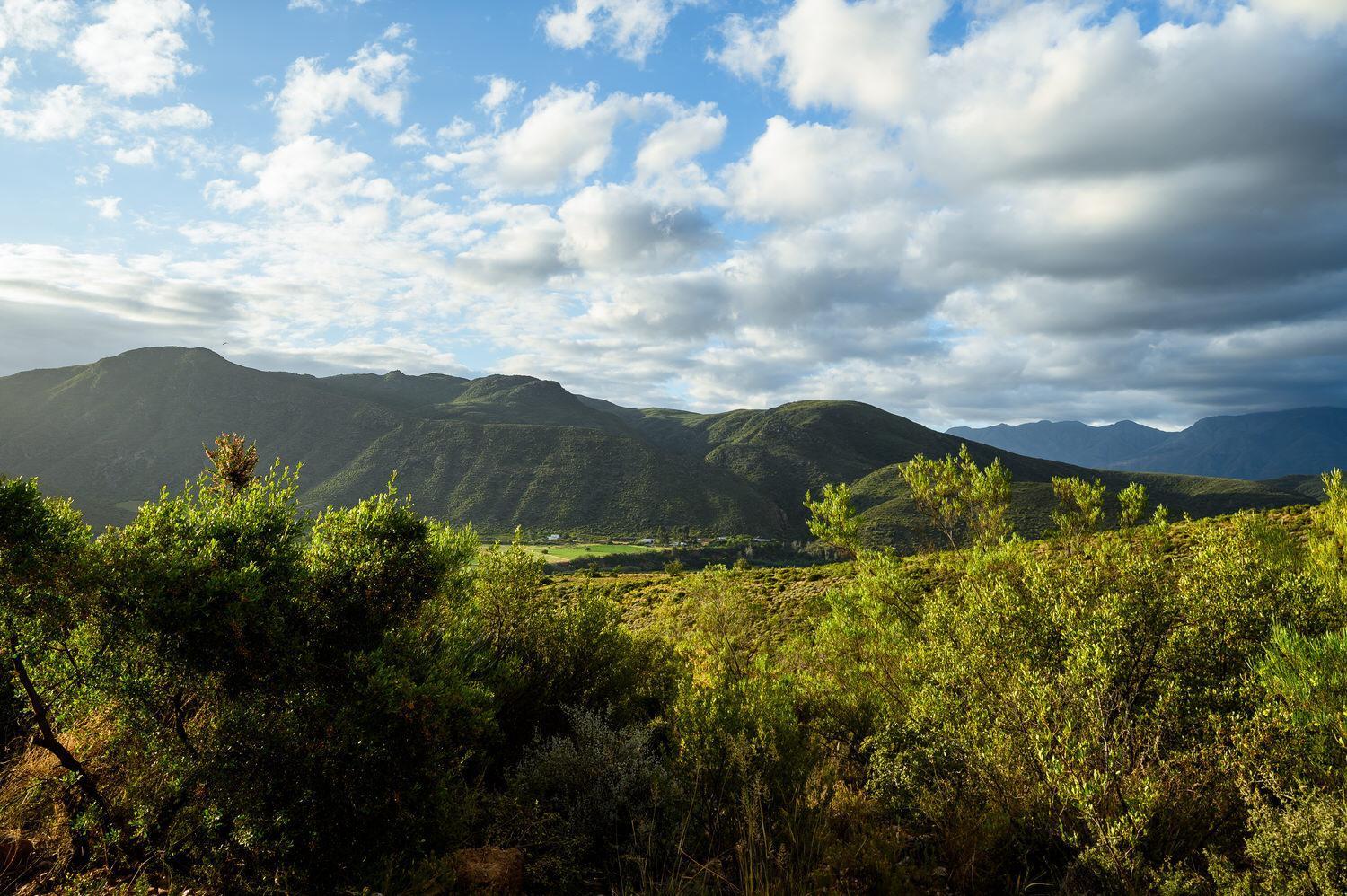 Le Petit Karoo Ranch Oudtshoorn Exterior foto
