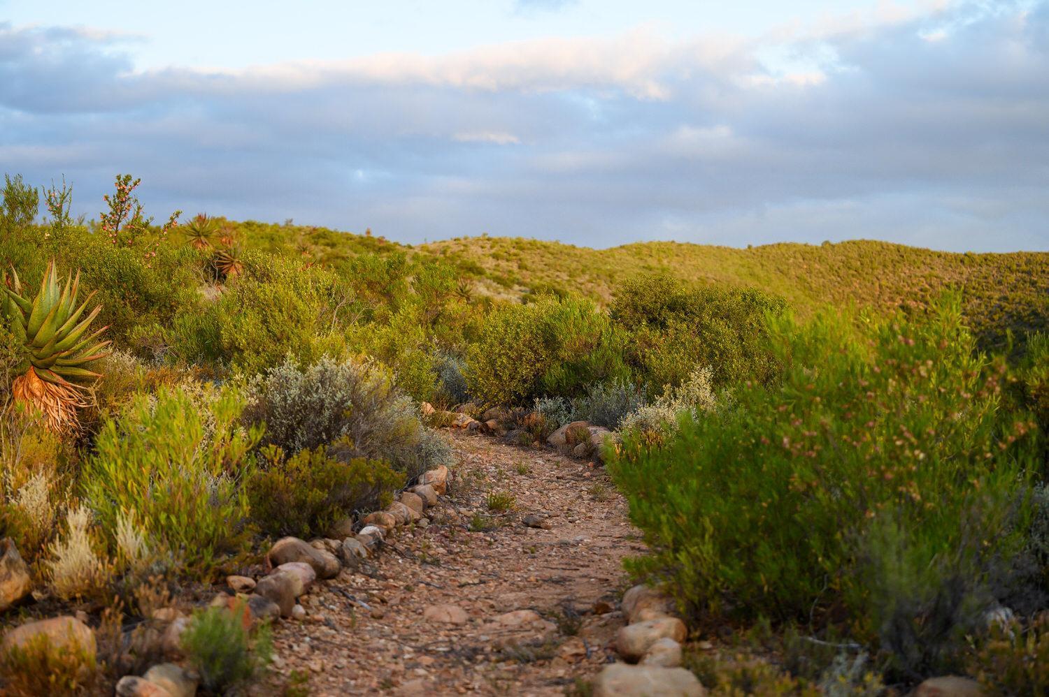 Le Petit Karoo Ranch Oudtshoorn Exterior foto